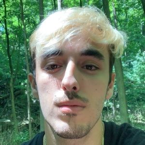 Meet your Posher, António